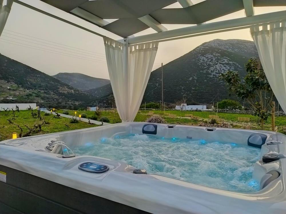 Geoni'S Villa & Garden Spa Apollonía Dış mekan fotoğraf
